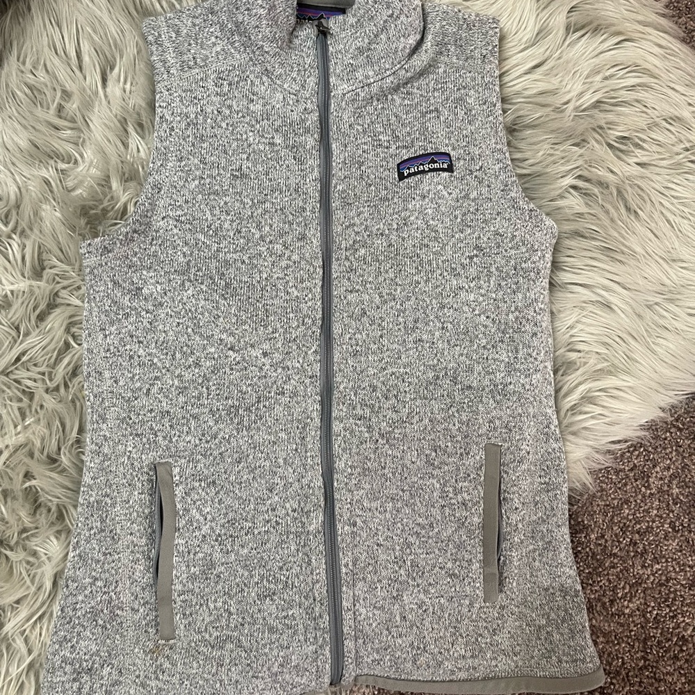 Patagonia Better Sweater Fleece Vest